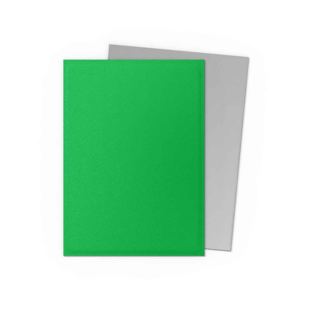 Dragon Shield Koszulki – Dual Matte Apple Green & Silver (100 Stück)